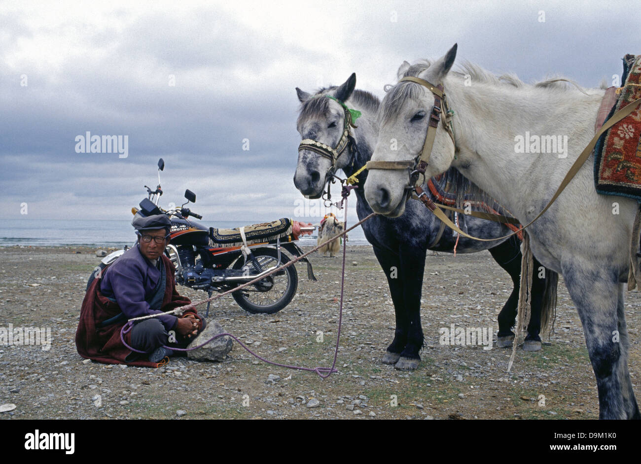 Tibetische Nomaden in Qinghai-See auch bekannt als Koko Nur oder Kukunor in Qinghai Provinz China Stockfoto Tibetische Nomaden in Qinghai-See auch bekannt als Koko Nur oder Kukunor in Qinghai Provinz China Stockfoto
