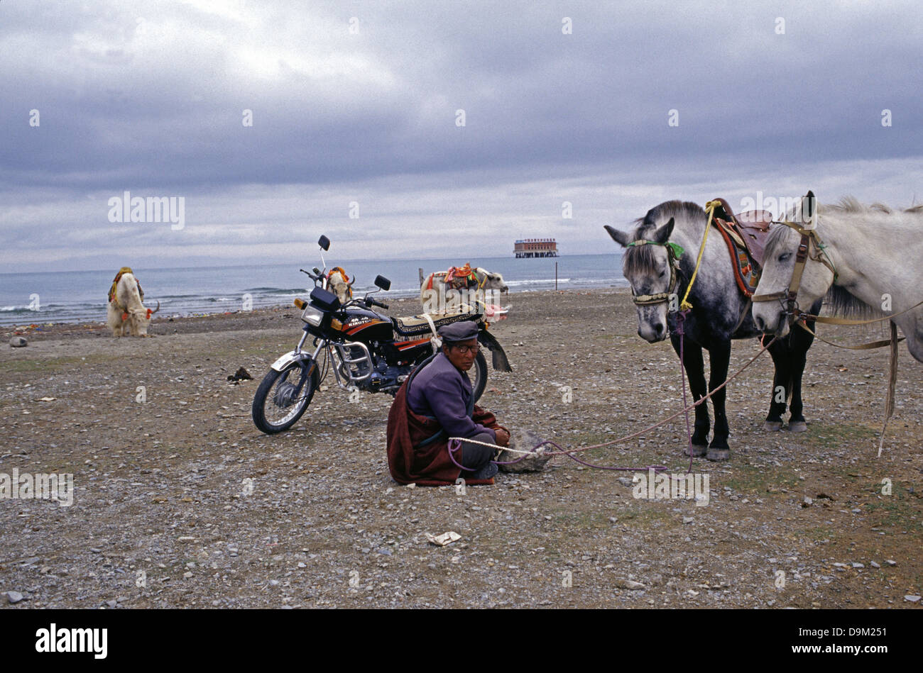 Tibetische Nomaden in Qinghai-See auch bekannt als Koko Nur oder Kukunor in Qinghai Provinz China Stockfoto Tibetische Nomaden in Qinghai-See auch bekannt als Koko Nur oder Kukunor in Qinghai Provinz China Stockfoto