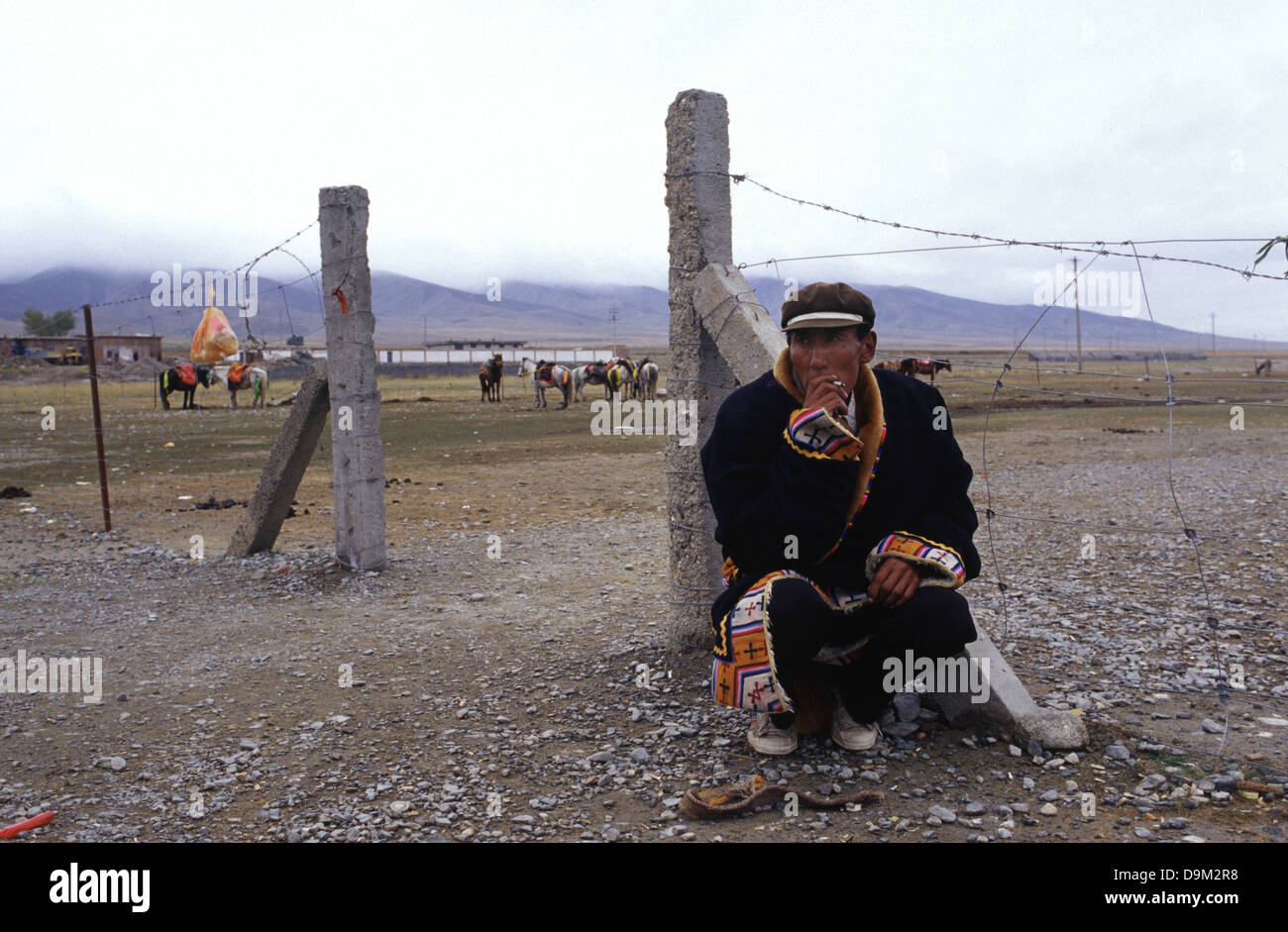 Tibetische Nomaden in Qinghai-See auch bekannt als Koko Nur oder Kukunor in Qinghai Provinz China Stockfoto Tibetische Nomaden in Qinghai-See auch bekannt als Koko Nur oder Kukunor in Qinghai Provinz China Stockfoto