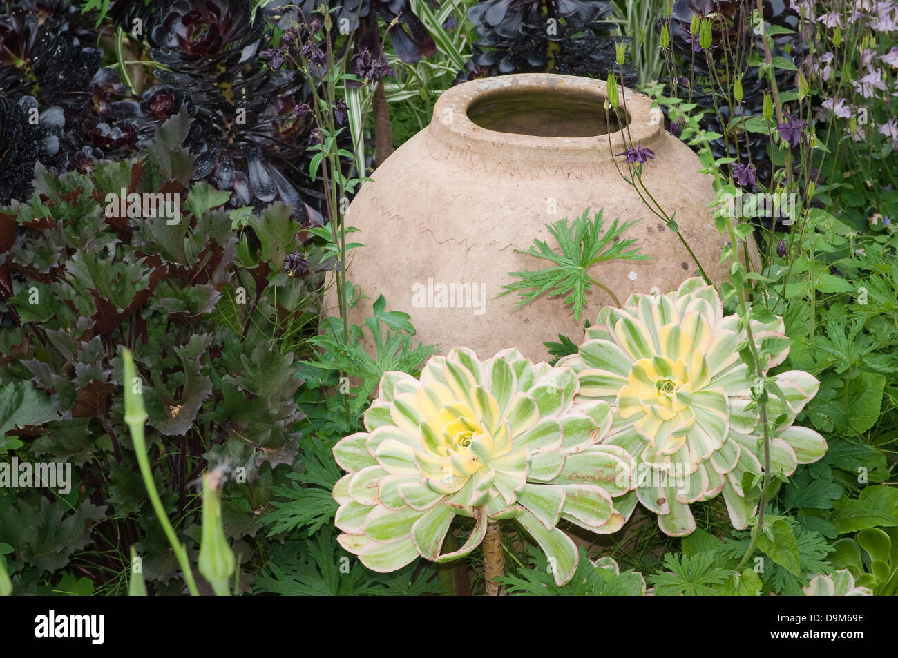 Garten-Design. Keramischer Vase zwischen Blumen. Stockfoto