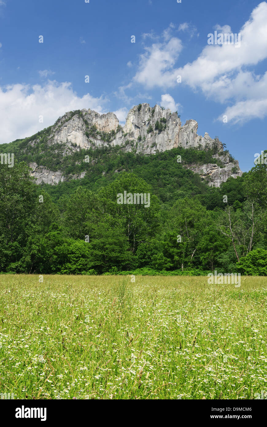 Seneca Rocks Felsformation in West Virginia Stockfoto