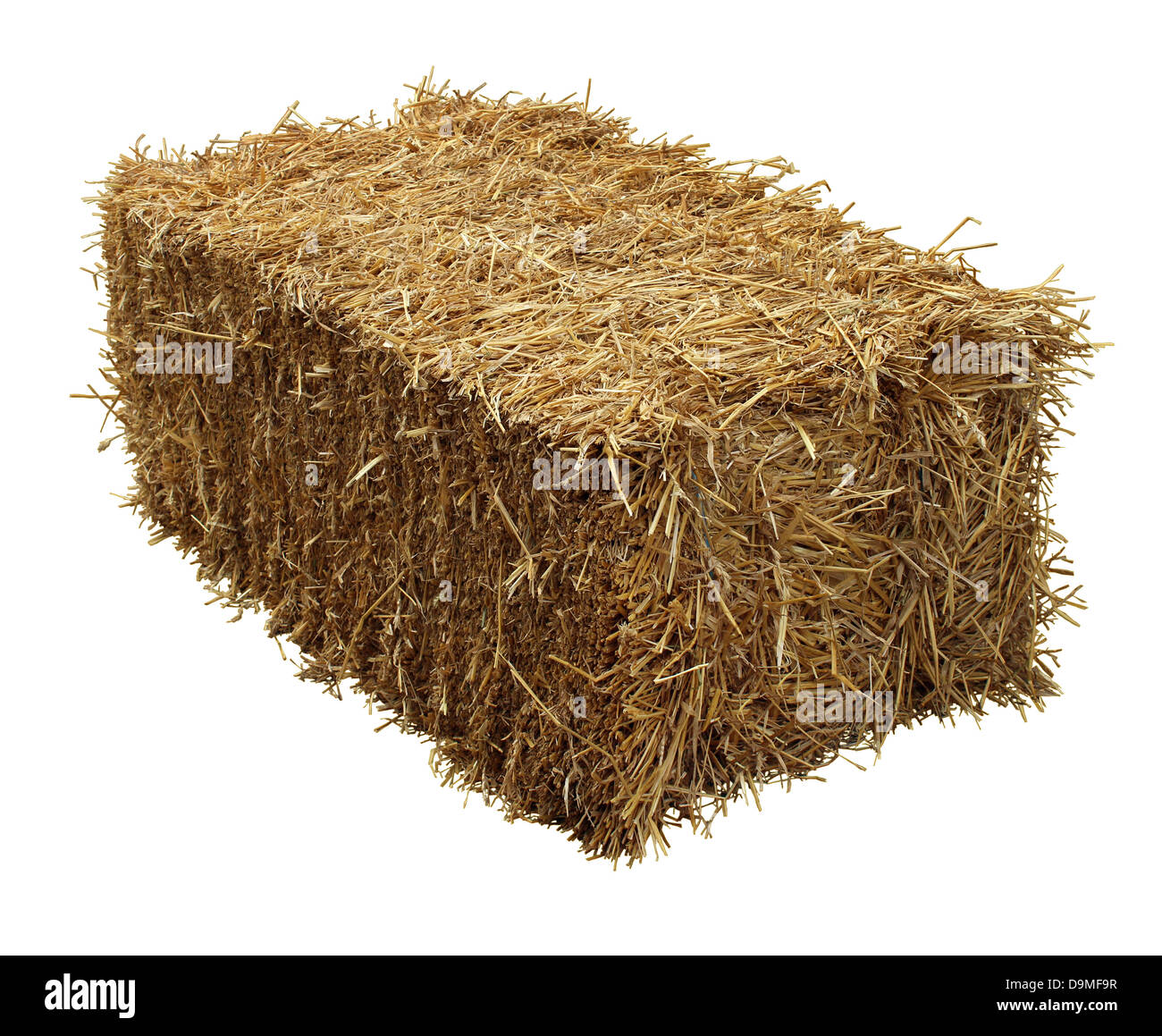 Ballen Heu isoliert auf einem weißen Hintergrund als Landwirtschaft Bauernhof und Landwirtschaft Symbol der Erntezeit mit getrockneten Rasen Stroh wie eine gebündelte Heuhaufen gebunden. Stockfoto