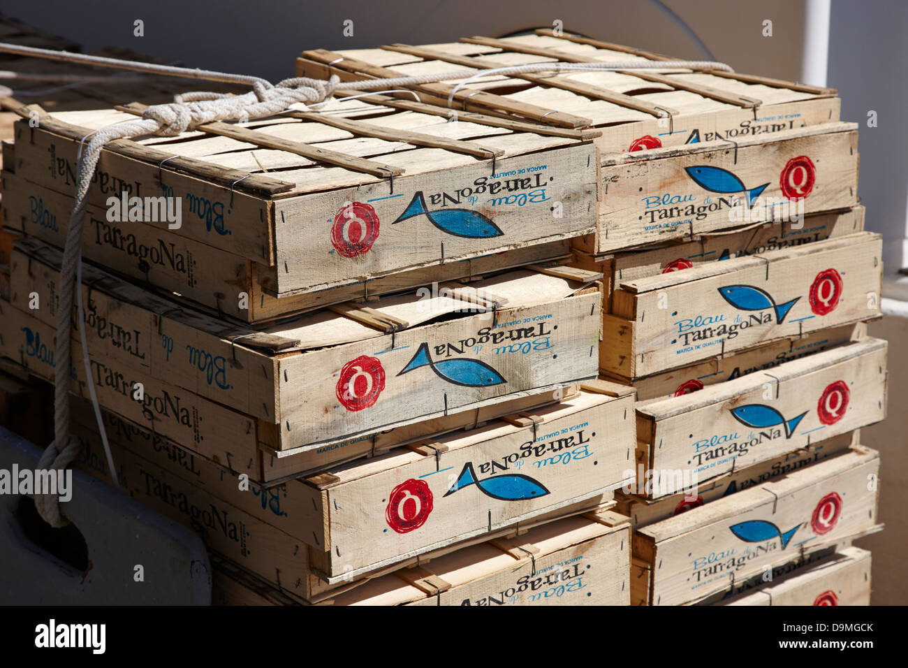 leere Kisten für Bluefish Tarragona Sardinen im Hafen Hafen von Cambrils-Katalonien-Spanien Stockfoto