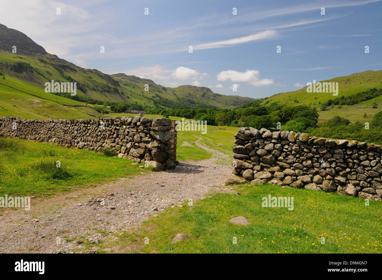 Feldweg und Trockenmauer in Eskdale im Sommer im englischen Lake District Stockfoto