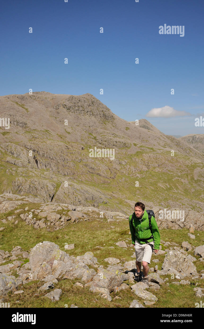 Walker auf Scafell mit Scafell Pike im Hintergrund, Sommer Bergwandern im englischen Lake District Stockfoto