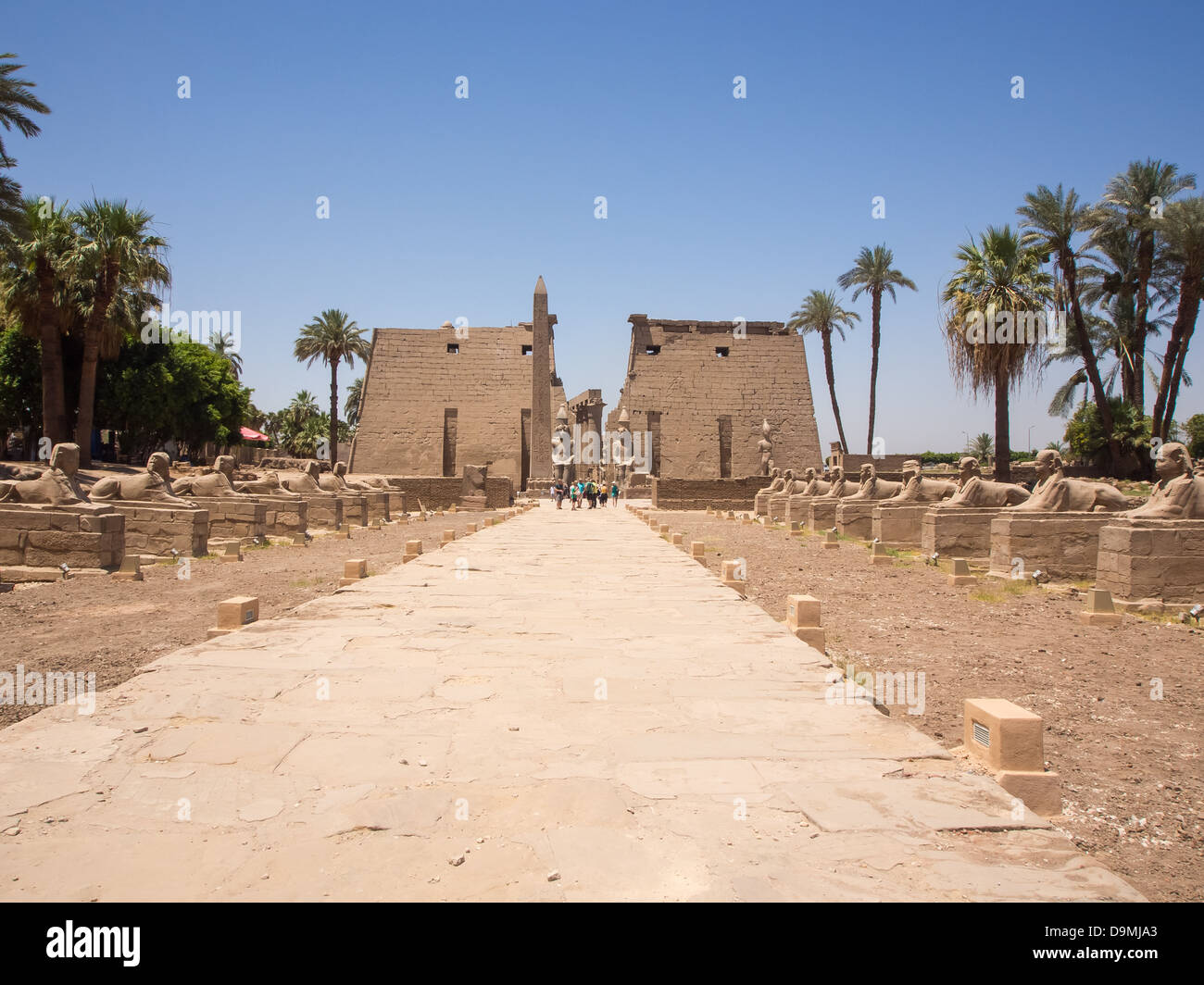 Die Allee der Sphinx in Luxor-Tempel, Ägypten Stockfoto