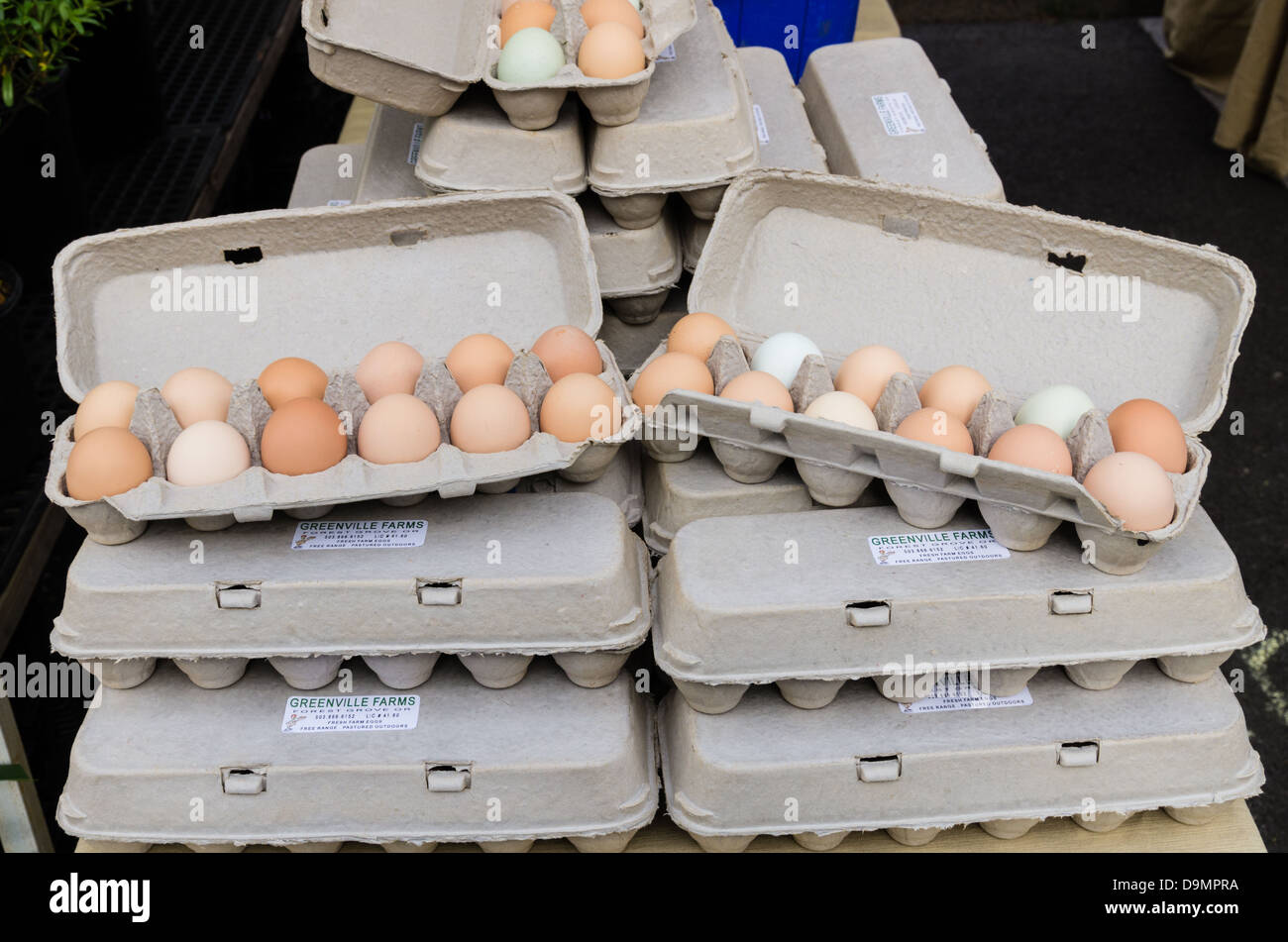 Beaverton Oregon USA.  Kartons mit frischen Bio-Eiern auf dem Display auf dem Bauernmarkt Stockfoto
