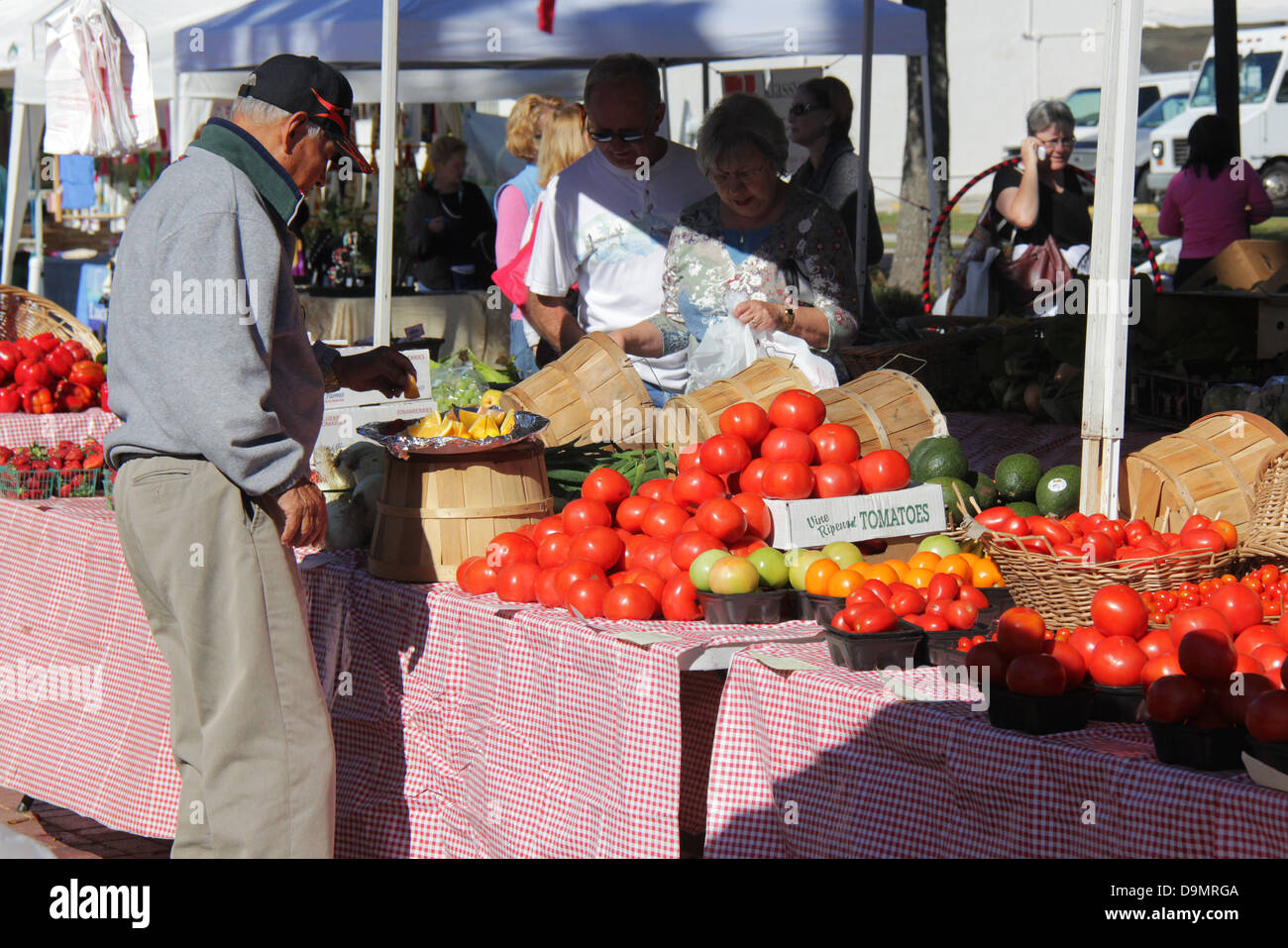 Gemüse zum Verkauf an einen lokalen Florida Markt, Wintergarten, Orange County, Florida. Stockfoto