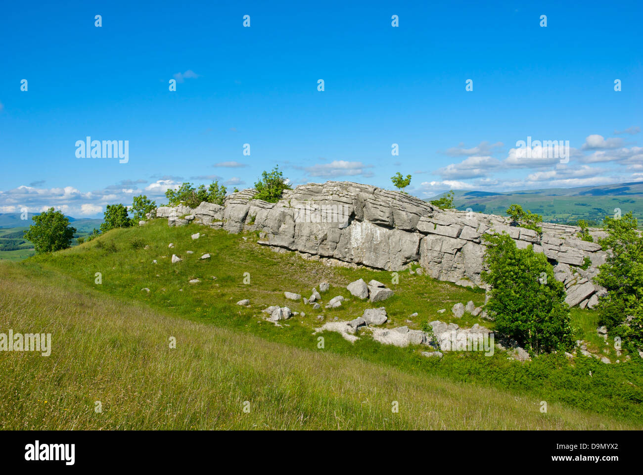 Die Rechen, ein Kalkstein Felsen bei Hutton Dach Klippen, einem Naturschutzgebiet Cumbria Wildlife Trust, Cumbria, England UK Stockfoto