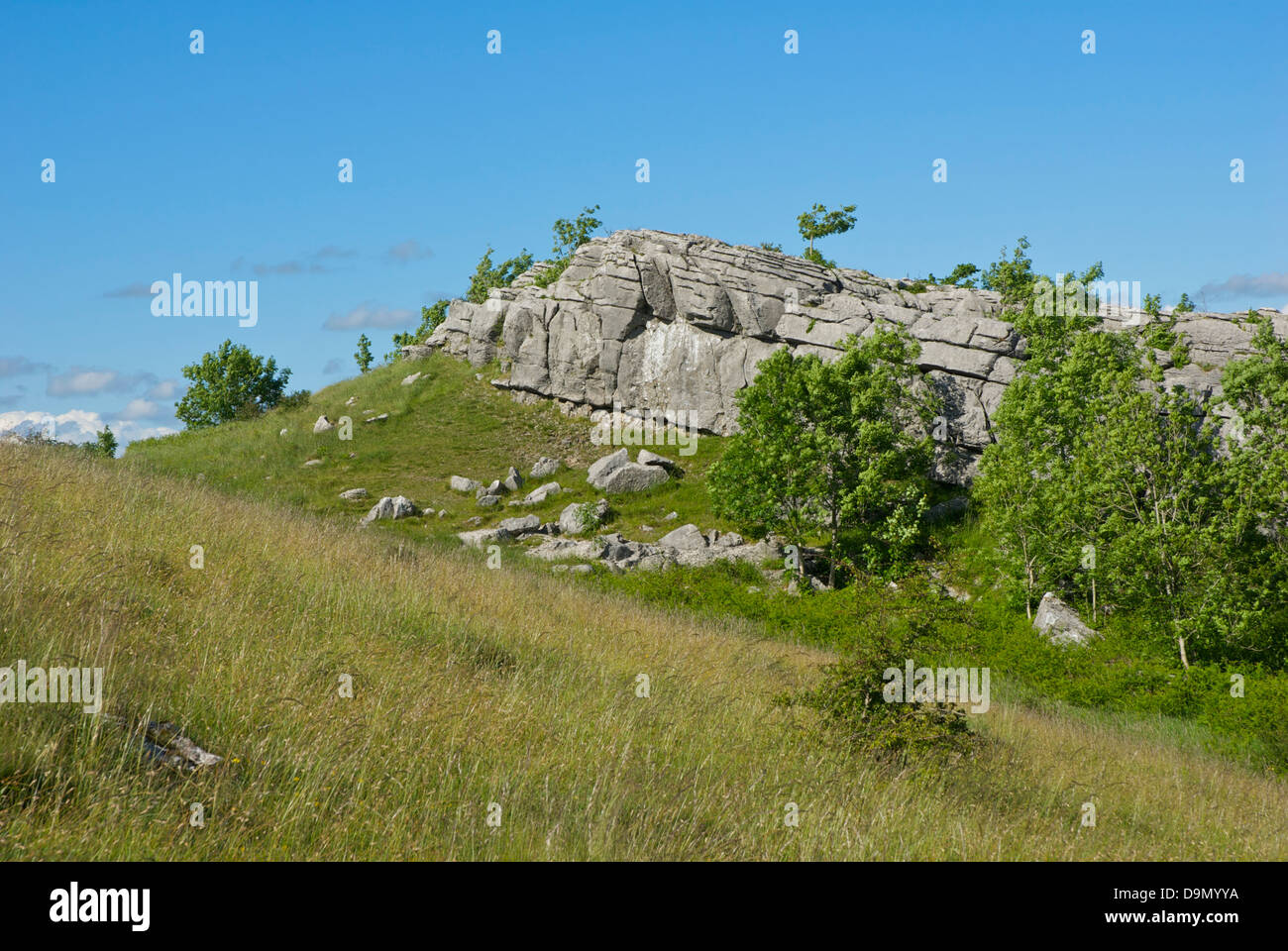 Die Rechen, ein Kalkstein Felsen bei Hutton Dach Klippen, einem Naturschutzgebiet Cumbria Wildlife Trust, Cumbria, England UK Stockfoto