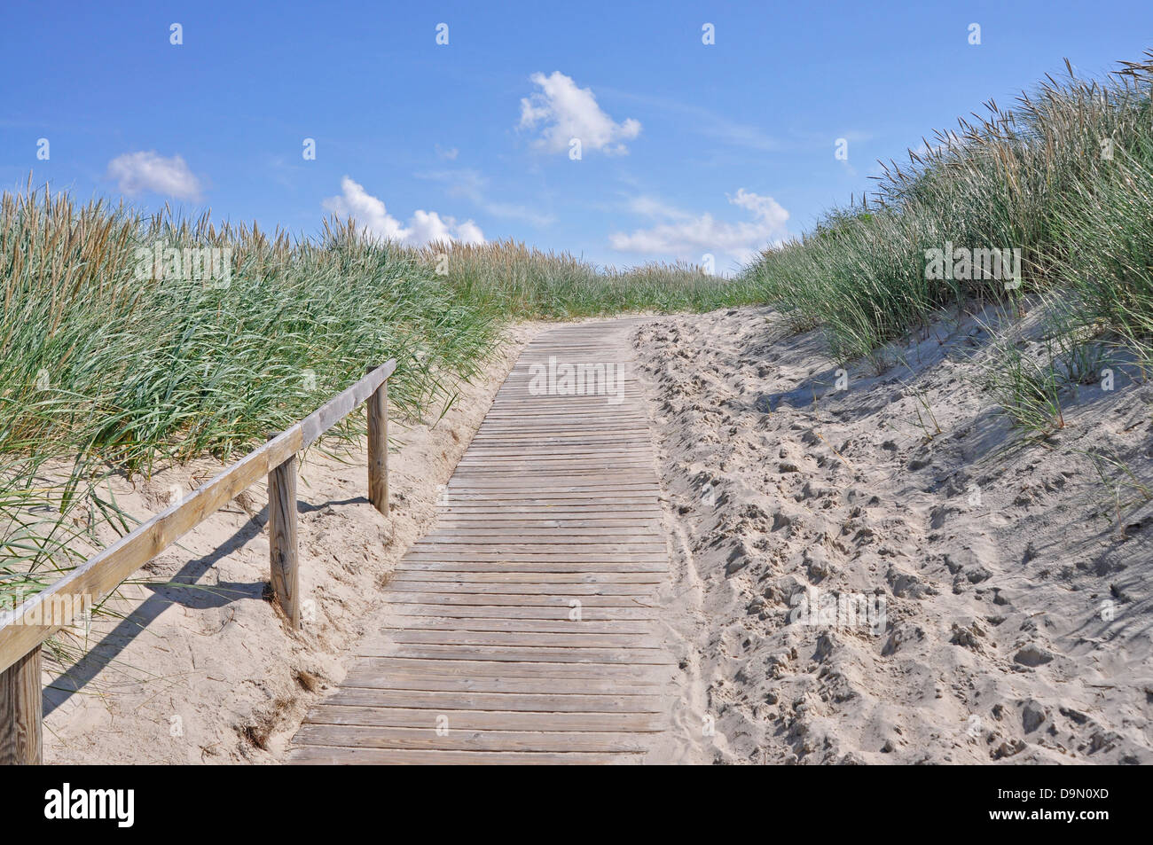 Elber Insel die Elbe, Deutschland, Niedersachsen, Ostfriesland, Langeoog, Insel ...