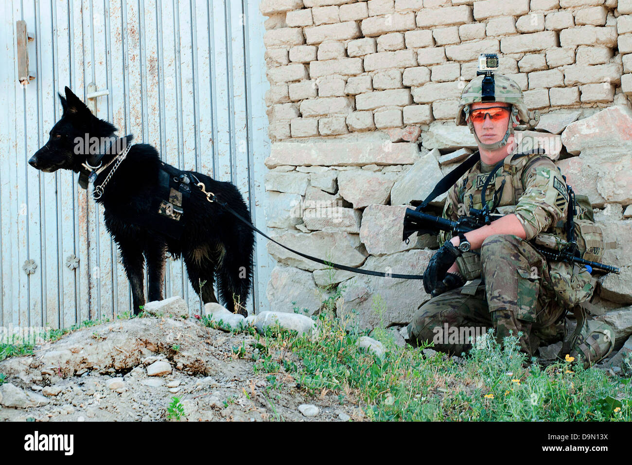 US Army Spc. Chase Couturiax ruht mit seinem Hund, Sgt. Nina während einer Patrouille Fuß 21. Mai 2013 in der Nähe von Combat Outpost Baraki Barak, Provinz Logar, Afghanistan. TEDD teams Hilfe versteckten Sprengstoff zu erkennen, während gemeinsame USA und die afghanische demontiert Patrouillen, die dazu beitragen, die um USA und die afghanische Soldaten und lokale Zivilisten zu schützen. Stockfoto