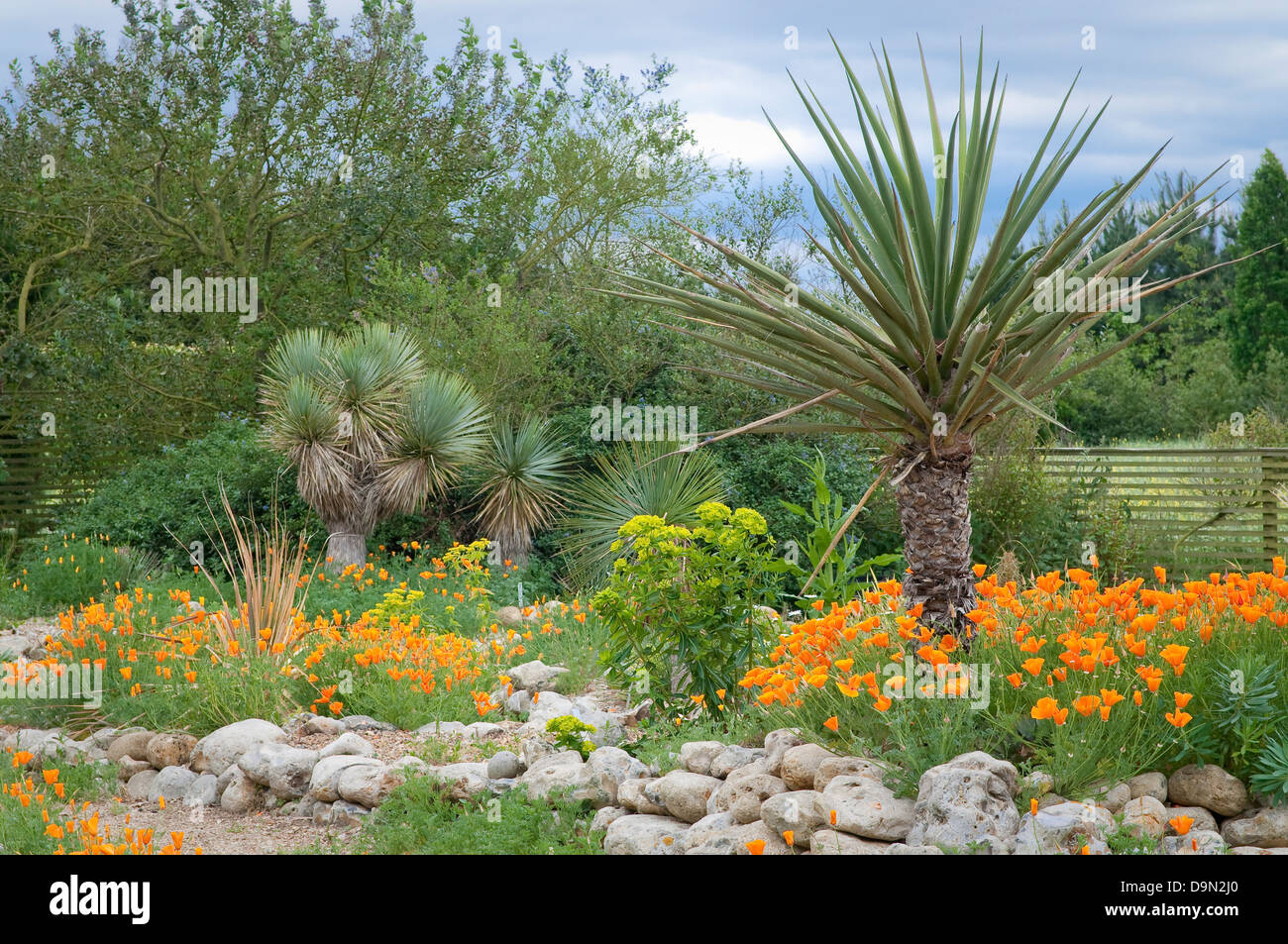 Tropischen Ort im englischen Garten, Norfolk, Großbritannien. Stockfoto