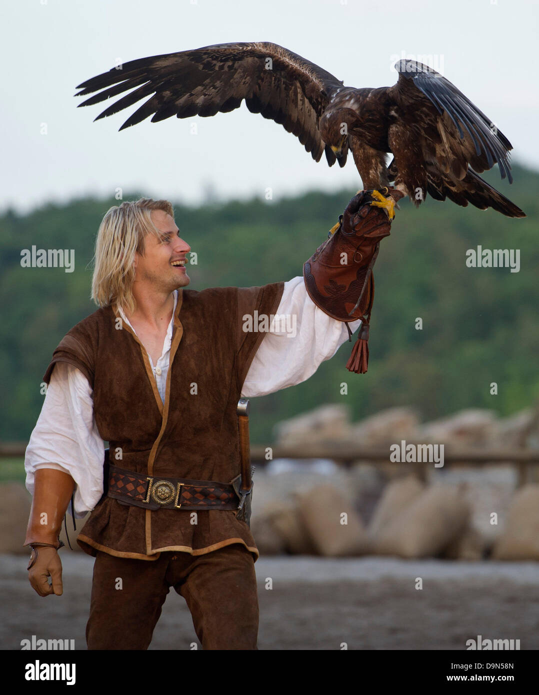 Bastian Semm als Klaus Stoertebeker hält Falcon "Laran" während der Preduction Darstellung, die das Leben des legendären Piratenkapitäns Stoertebeker auf Insel Rügen in Ralswiek, Deutschland, 22. Juni 2013 gestimmt. Die Herstellung von 4,5 Millionen Euro "Der Anfang einer Legende" die Geschichte, erzählt wie Klaus von Alkun wurde ein Pirat und bekam den Namen Stoertebeker ("leeren Sie die Tasse mit einem Schluck"). Die Specatcle läuft bis 07 September. Foto: STEFAN SAUER Stockfoto