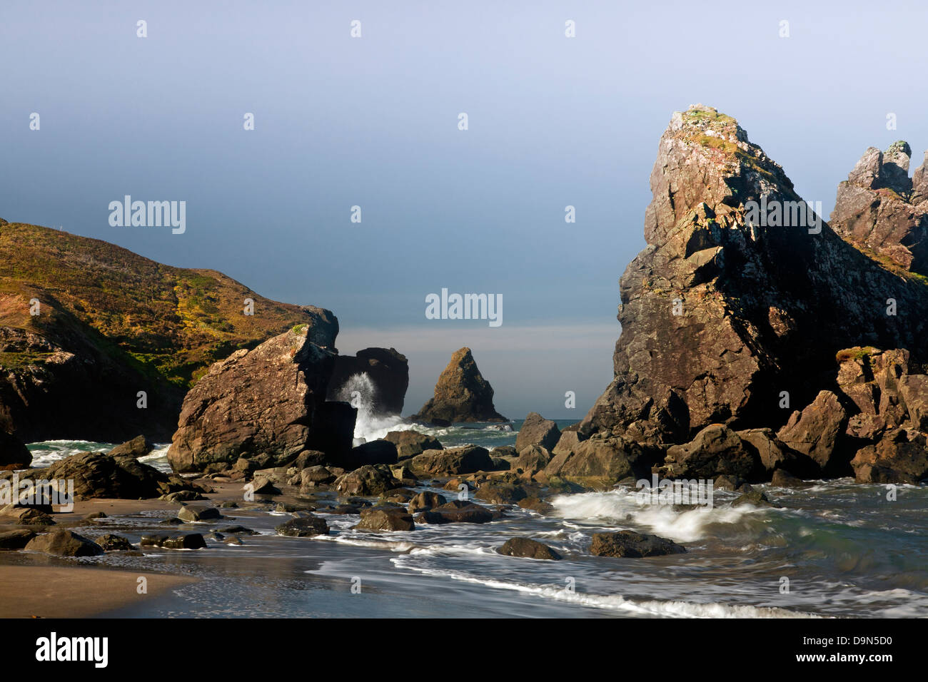 OR01093-00... OREGON - Seastacks bei Lone Ranch Strand am Rande des Pazifischen Ozeans in Samuel H. Boardman State Park. Stockfoto