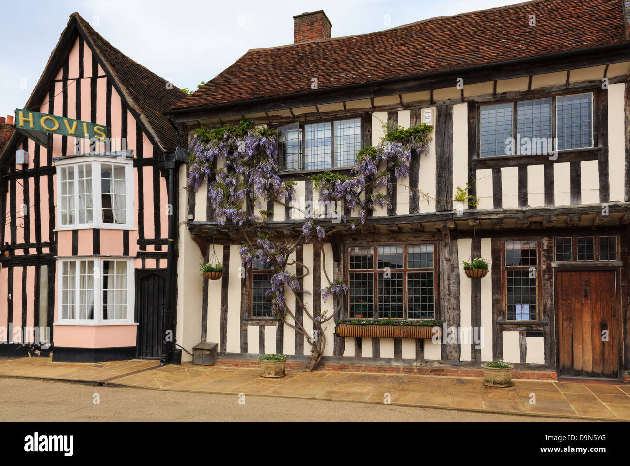 Wisteria Floribunda wächst auf Front Fachwerkhaus im historischen Dorf. Marktplatz, Lavenham, Suffolk, England, UK, Großbritannien Stockfoto