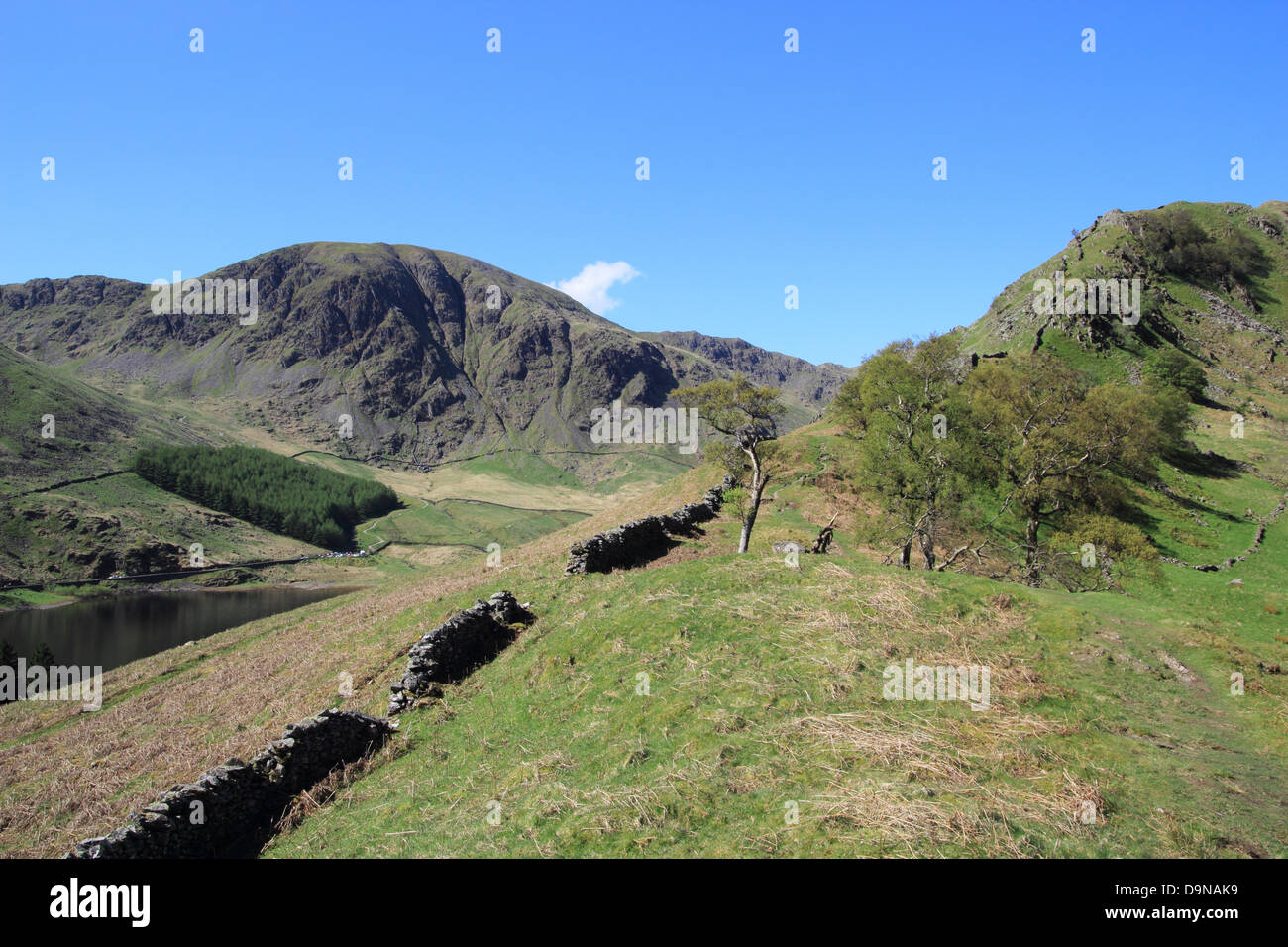 Haweswater Reservoir und Harter fiel, Mardale, Nationalpark Lake District, Cumbria, England, UK Stockfoto