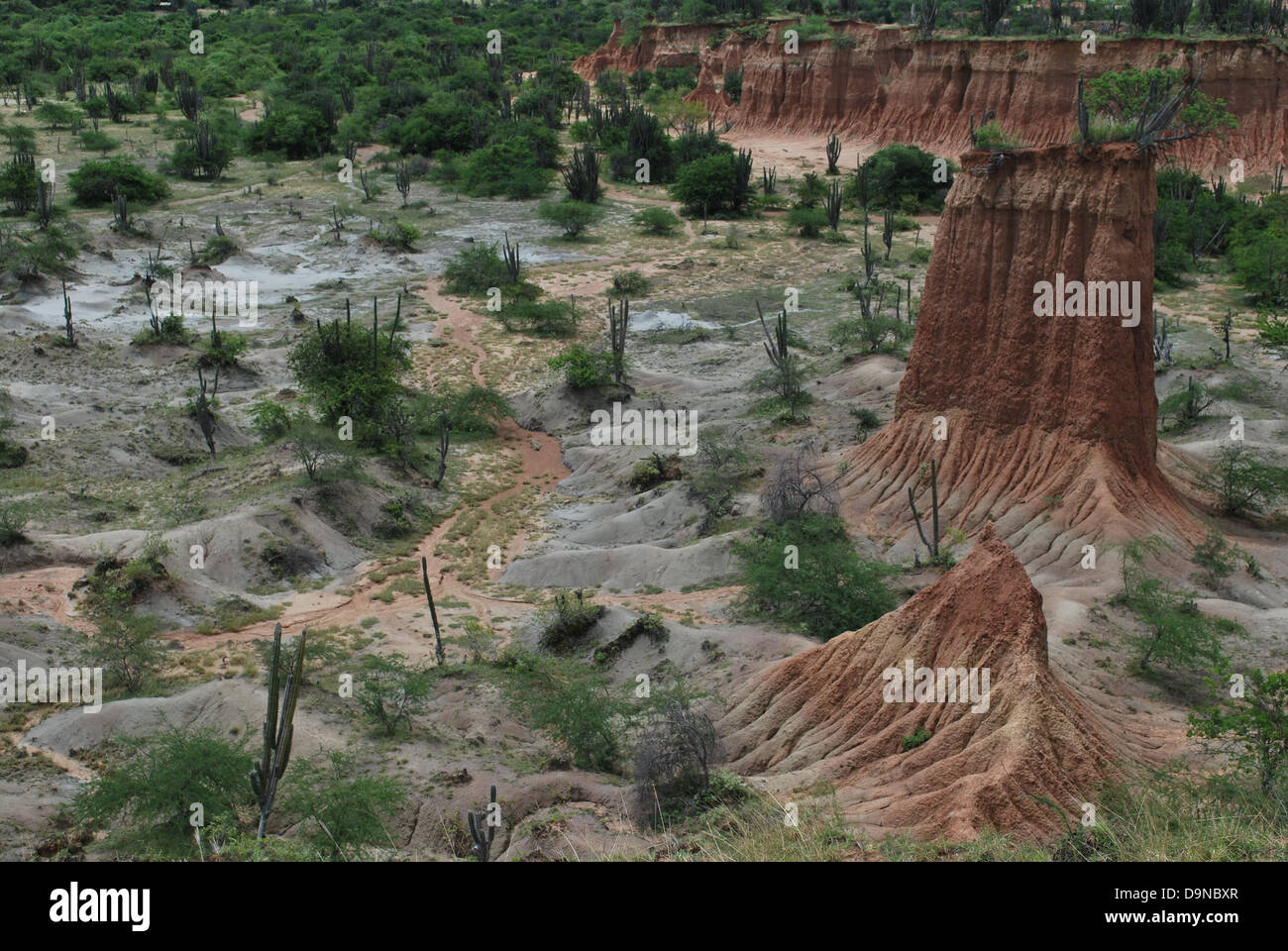 Landschaft-Schuss der Miniatur Tatacoa Wüste, Abteilung Huila, Kolumbien Stockfoto