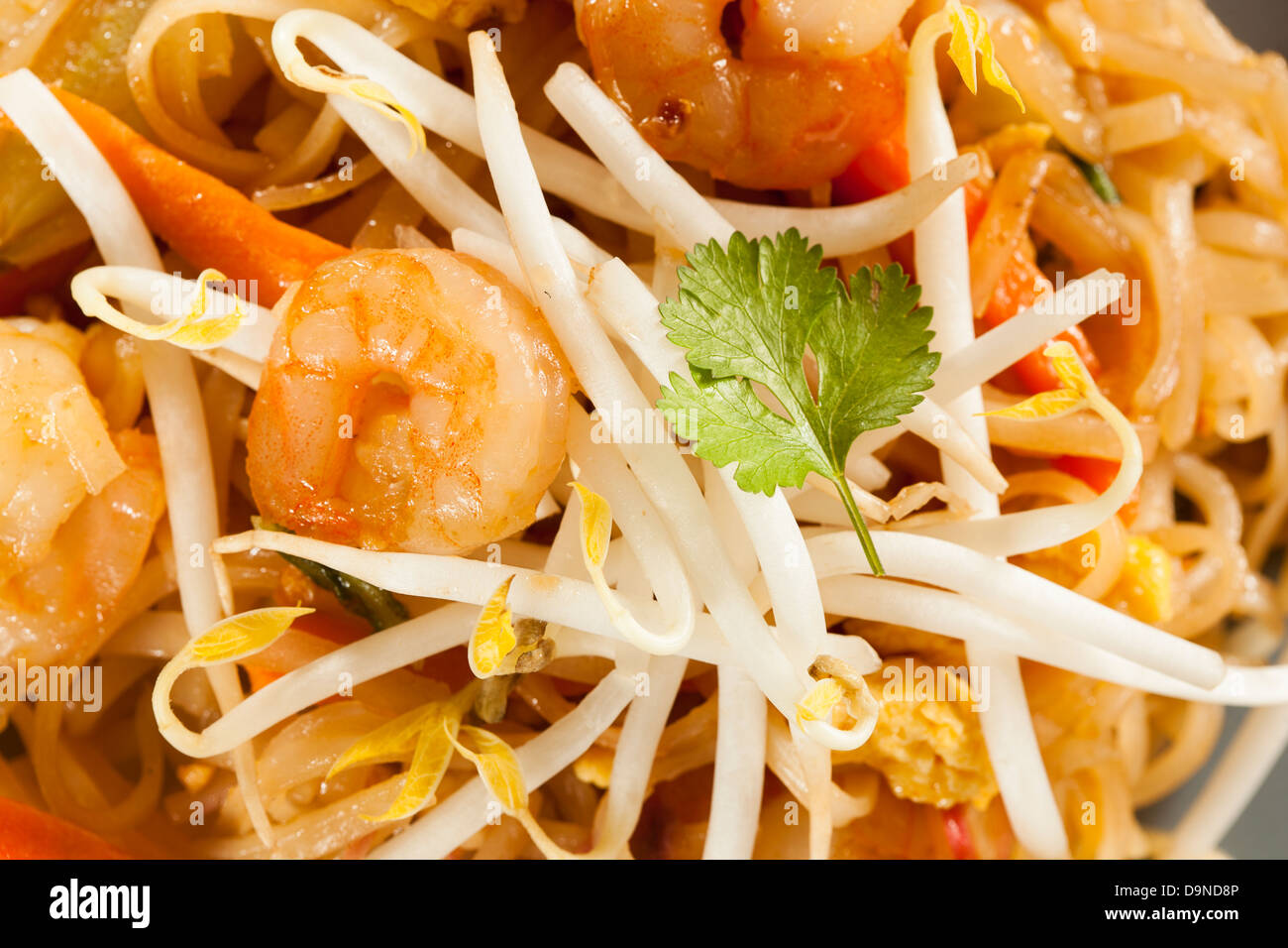 Hausgemachte asiatischen Pad Thai mit Garnelen und Koriander Stockfoto