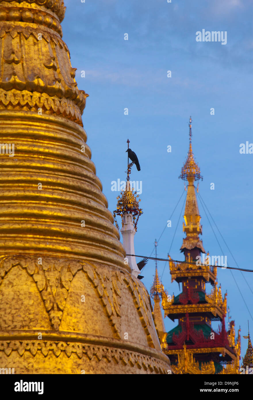 Eine Krähe sitzt hoch unter den goldenen Türmen der Shwedagon, Burmas heiliger Tempel im Herzen von Rangun. Stockfoto