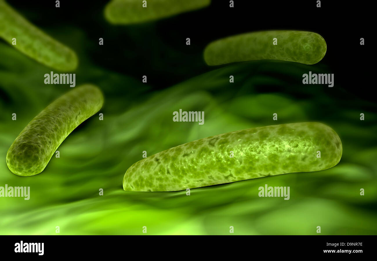 Mikroskopische Ansicht von Bakterien. Stockfoto