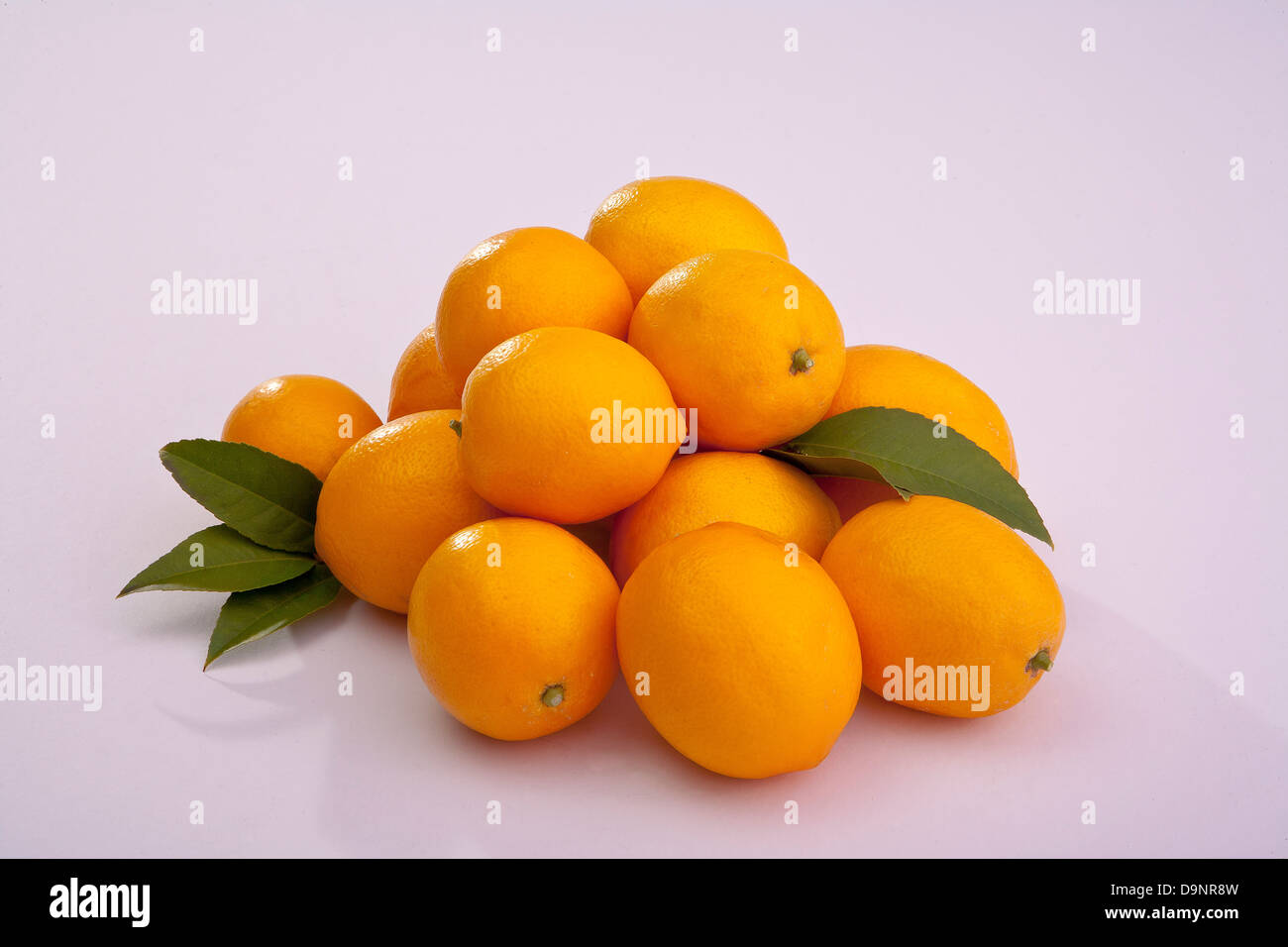 Gruppe von Zitronen Schnitt und ganze Meyer Zitronen Zitrusfrüchte Stockfoto