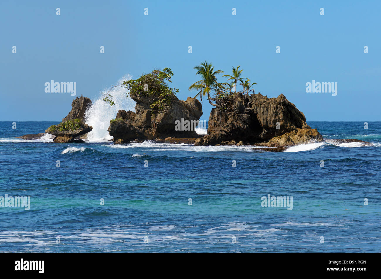 Felseninsel mit Kokospalmen, Archipel Bocas del Toro, Bastimentos Island, Karibik, Panama Stockfoto