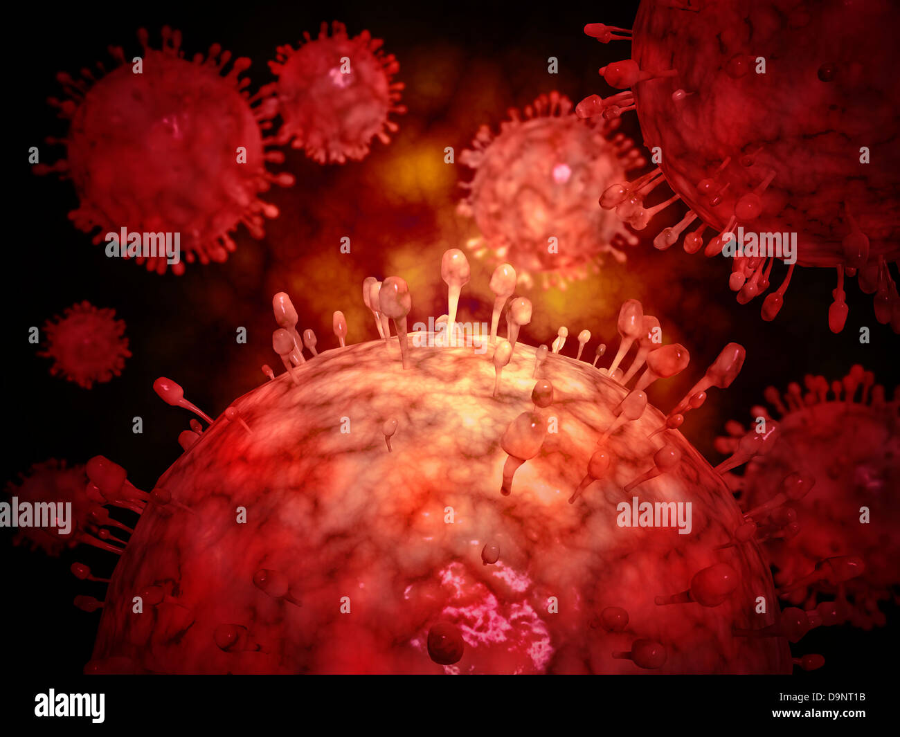 Schweine-Influnza-Virus. Stockfoto