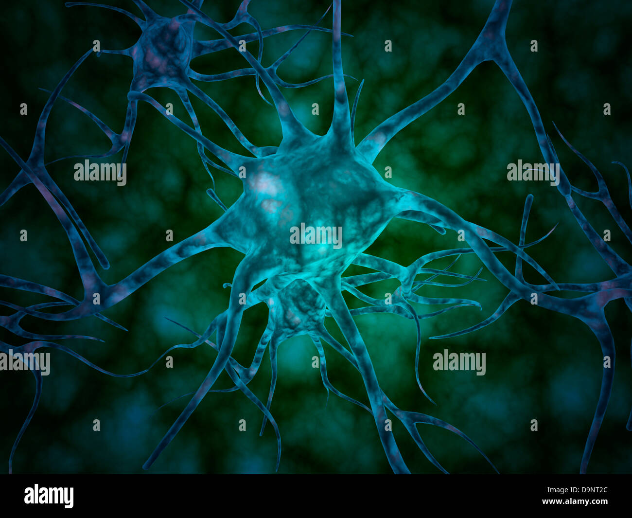 Mikroskopische Ansicht von mehreren Nervenzellen, Neuronen genannt. Stockfoto