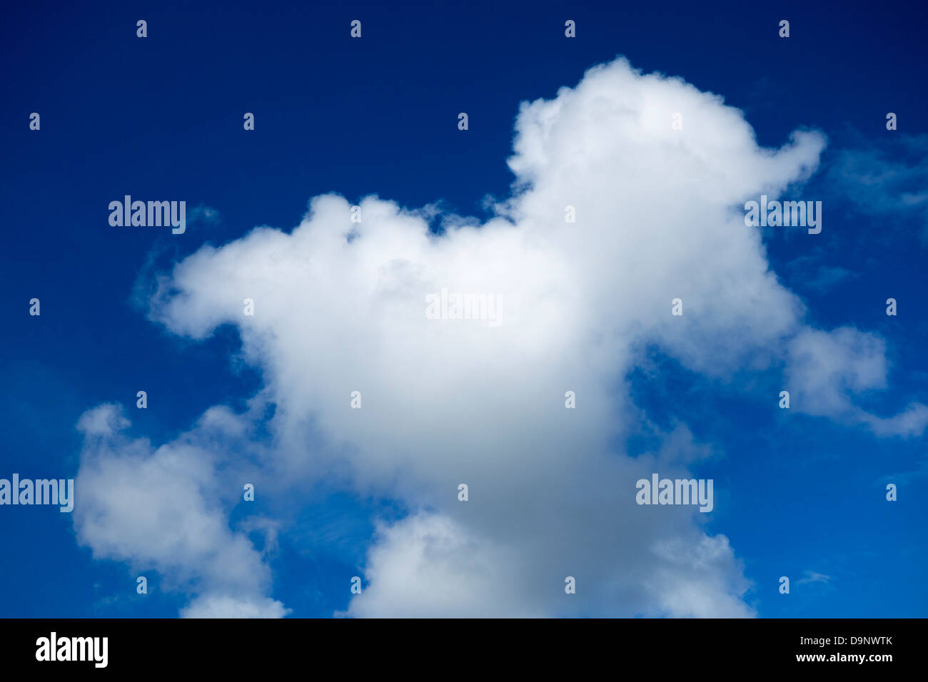 Blauer Himmel und weiße Wolke Stockfoto