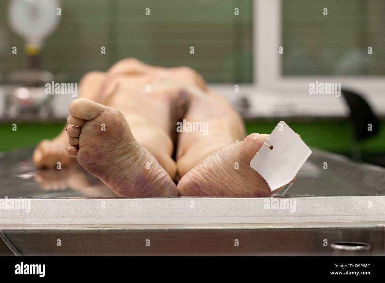 Eine tote Frau liegt auf einem Tisch von der Depanrtmend für forensische  Rechtsprechung in Brandenburg Stockfotografie - Alamy