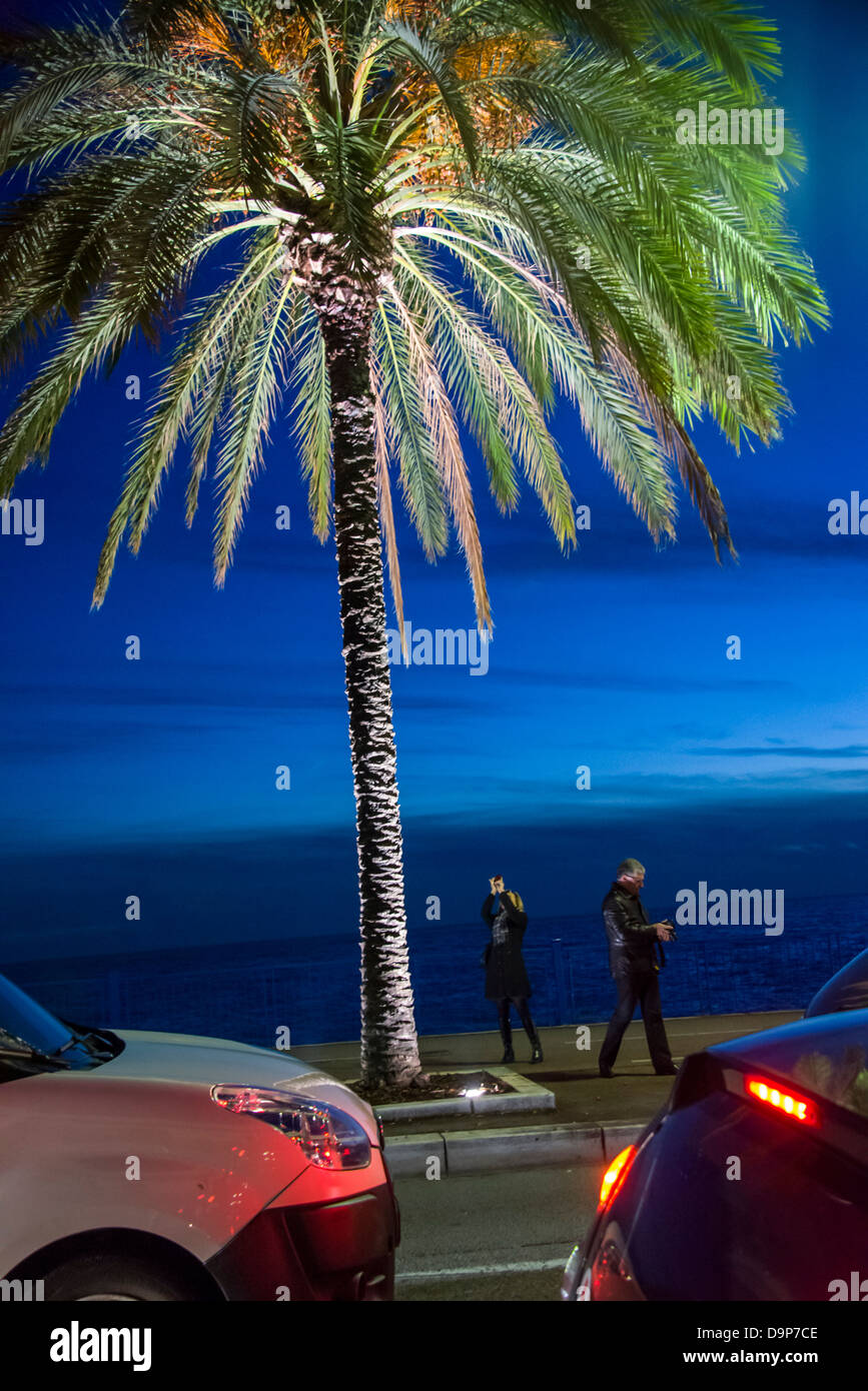 Touristen fotografieren sich daraus eine Palme am Quai Rauba-Capeu in Nizza Frankreich in der Nacht Stockfoto