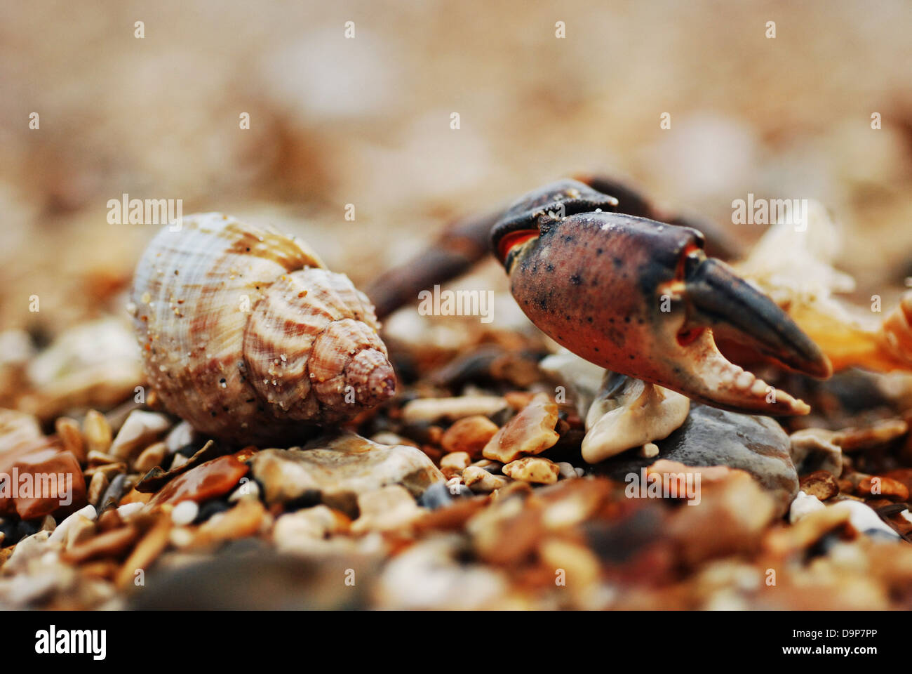 Eigenschaft des Meeres Stockfoto