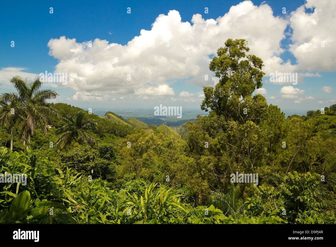 Blick auf die Sierra de Escambray, Provinz Cienfuegos, Kuba Stockfoto