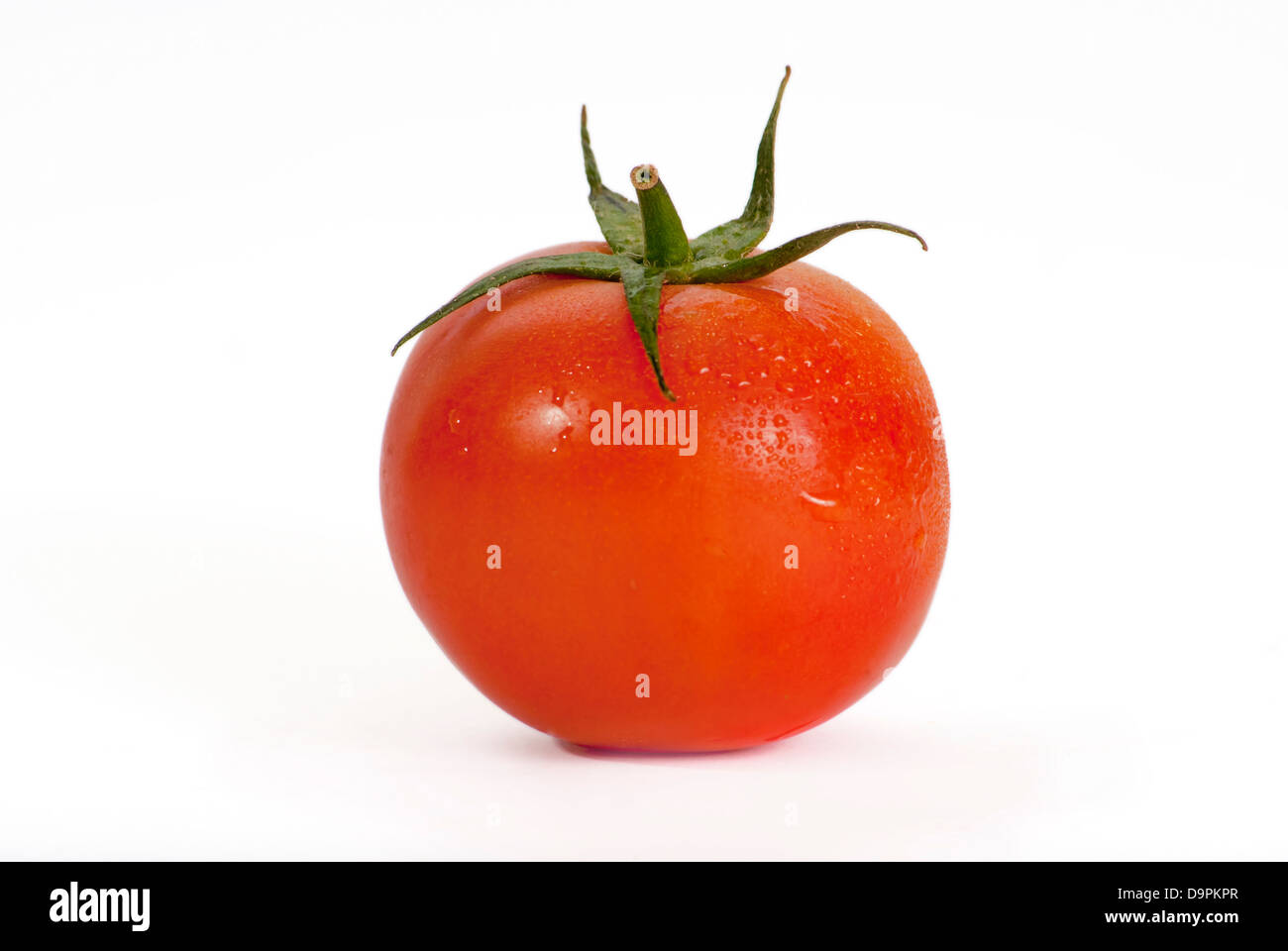 Eine einzelne Tomate auf weiß Stockfoto