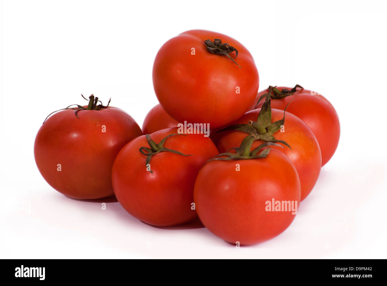 Eine Reihe von Tomaten auf weiß Stockfoto