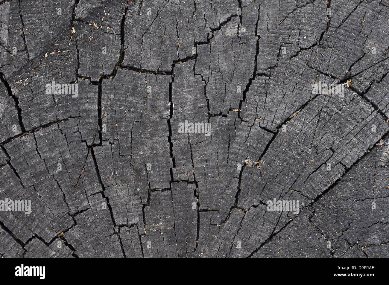 rissige Holzstruktur hautnah. Hölzerne Hintergrund Stockfoto