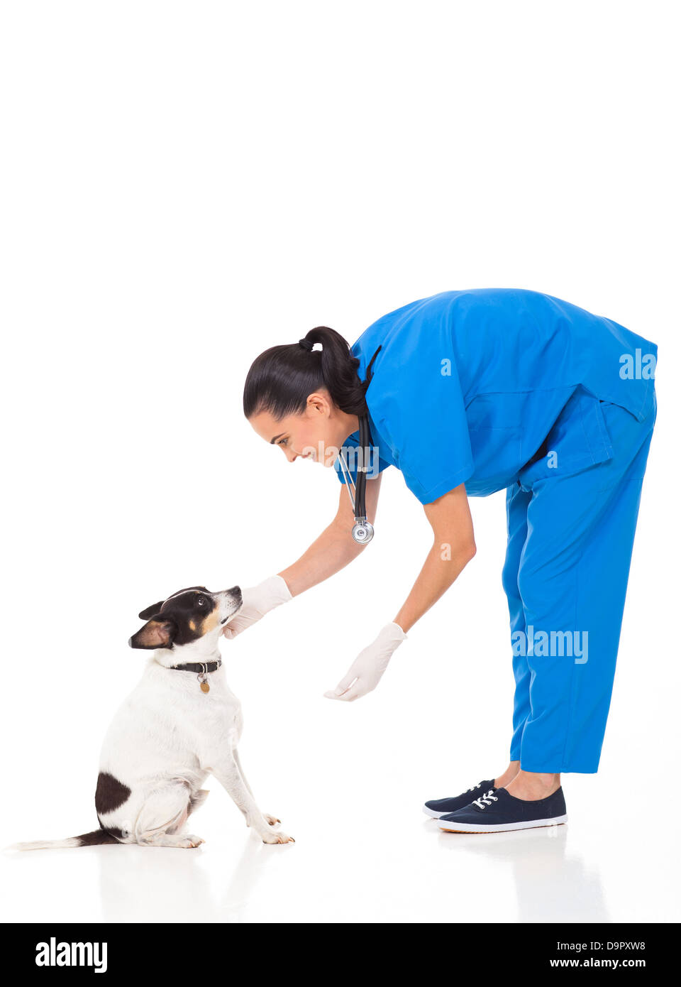 Tierarzt Doktor spielen mit Hund isoliert auf weißem Hintergrund Stockfoto