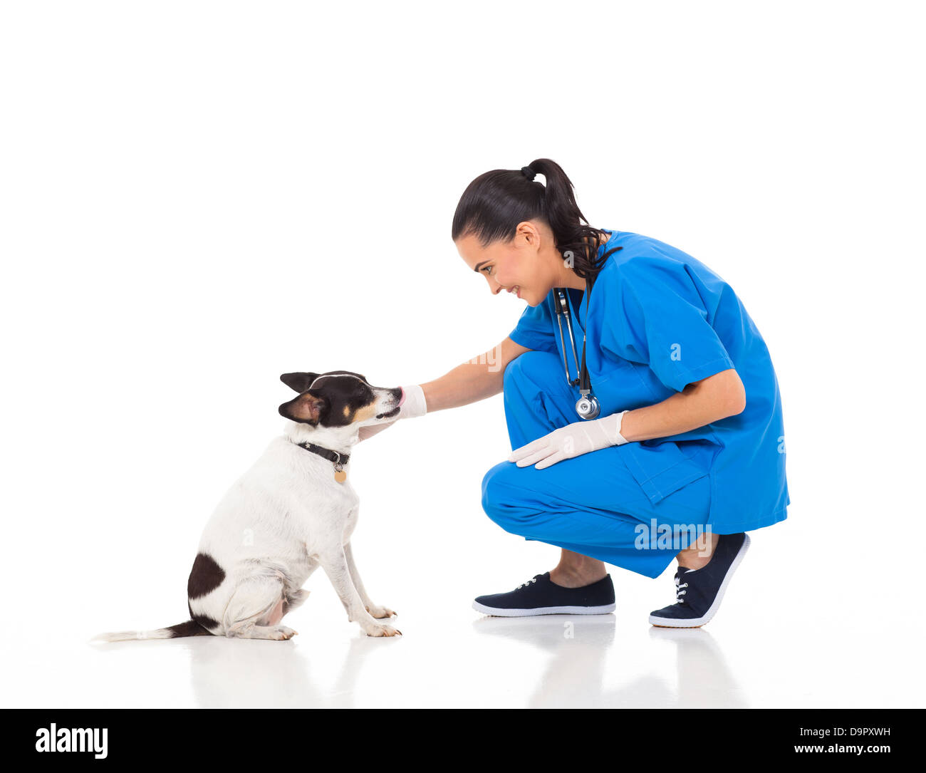 Tierarzt Ärztin spielen mit Hund Stockfoto