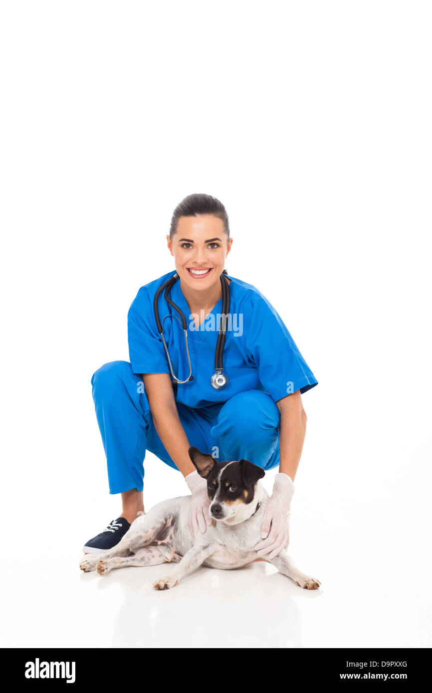 schöne Tierarzt Assistent mit Hund isoliert auf weißem Hintergrund Stockfoto