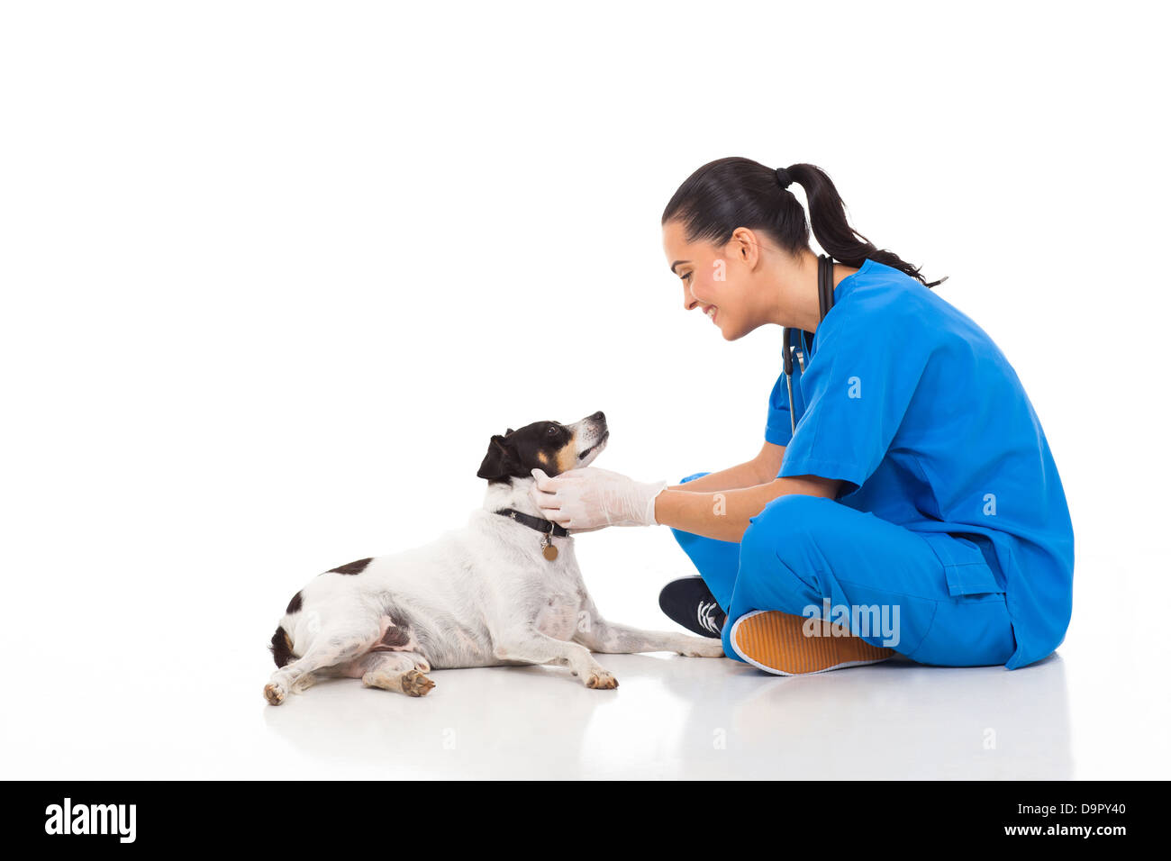 professionellen Tierarzt Doktor spielen mit Hund isoliert auf weiss Stockfoto