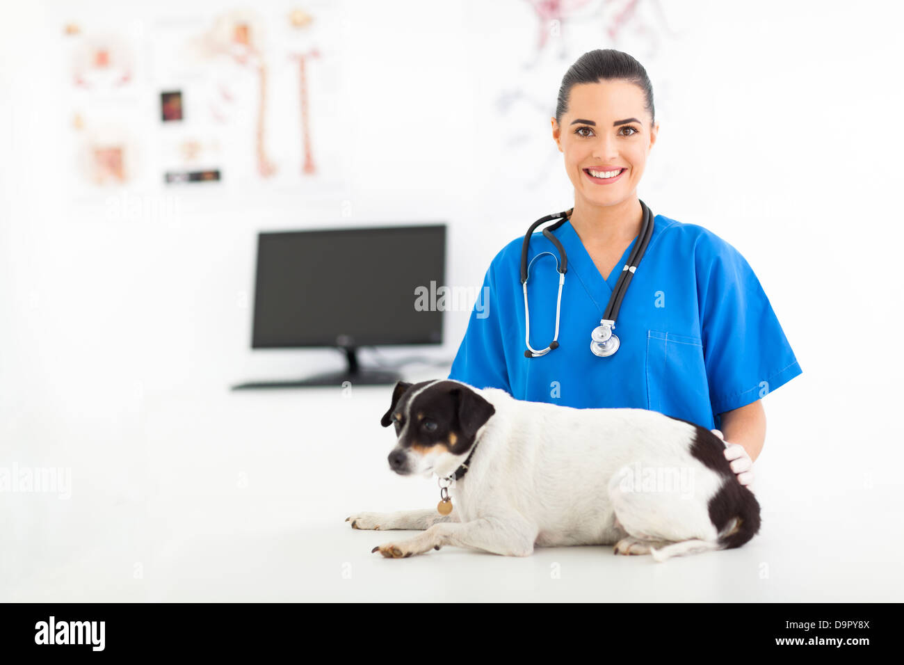 junge weibliche Tierarzthelferin Fürsorge für Hund Stockfoto
