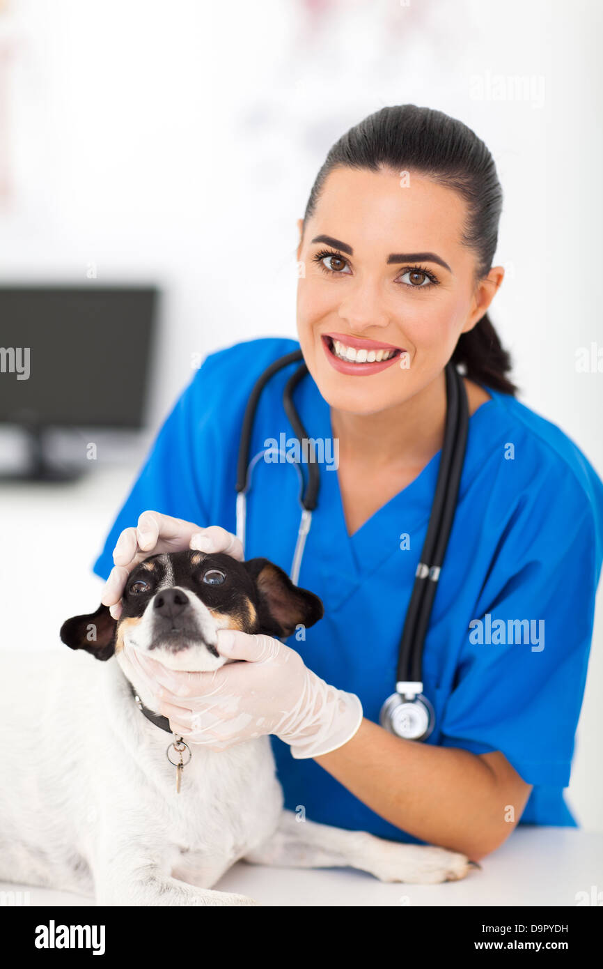 professionelle weibliche Tierarzt Krankenschwester Hund Augen prüfen Stockfoto
