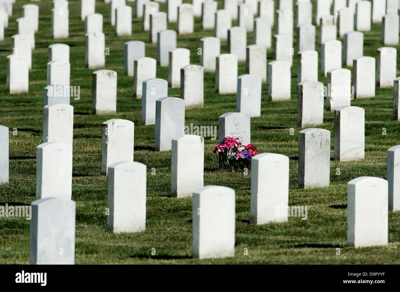 Blumen am Grab, Friedhof von Arlington, Virginia, USA Stockfoto