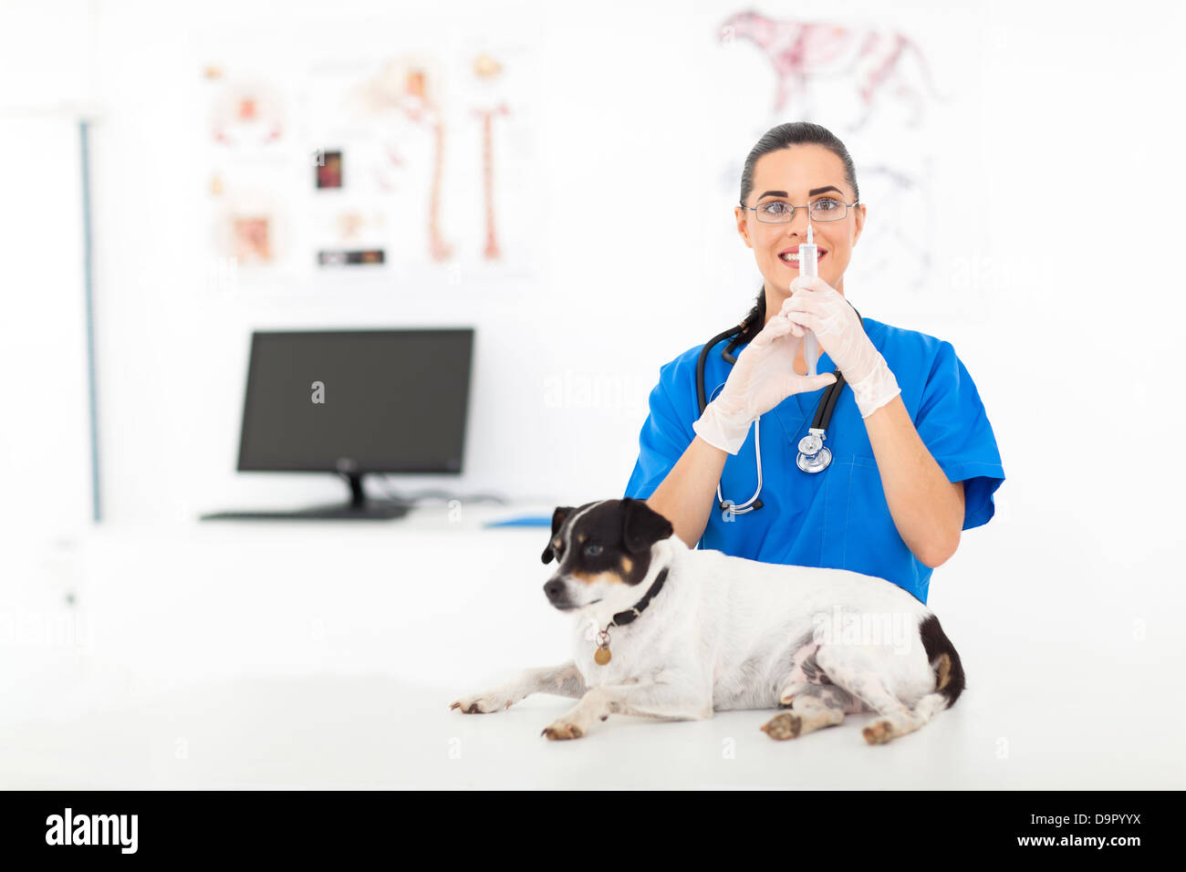 schöne weibliche Tierarzt Vorbereitung der Injektion zu kranken Hund Stockfoto