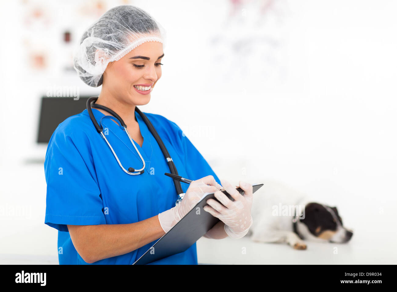 Pflege Tierarzthelferin schreiben Bericht in Tierklinik Stockfoto