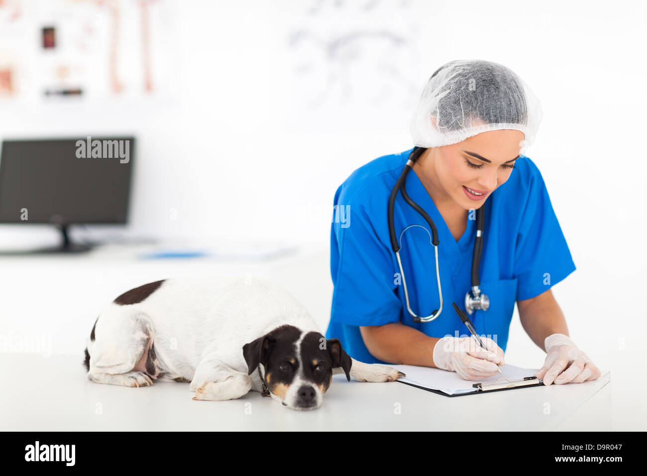 hübschen weiblichen Tierarzt schriftlich Bericht nach Hund checkup Stockfoto