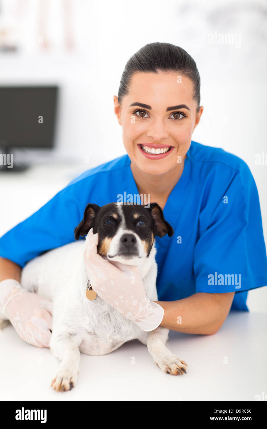 freundliche weibliche Tierarzt mit Hund Stockfoto