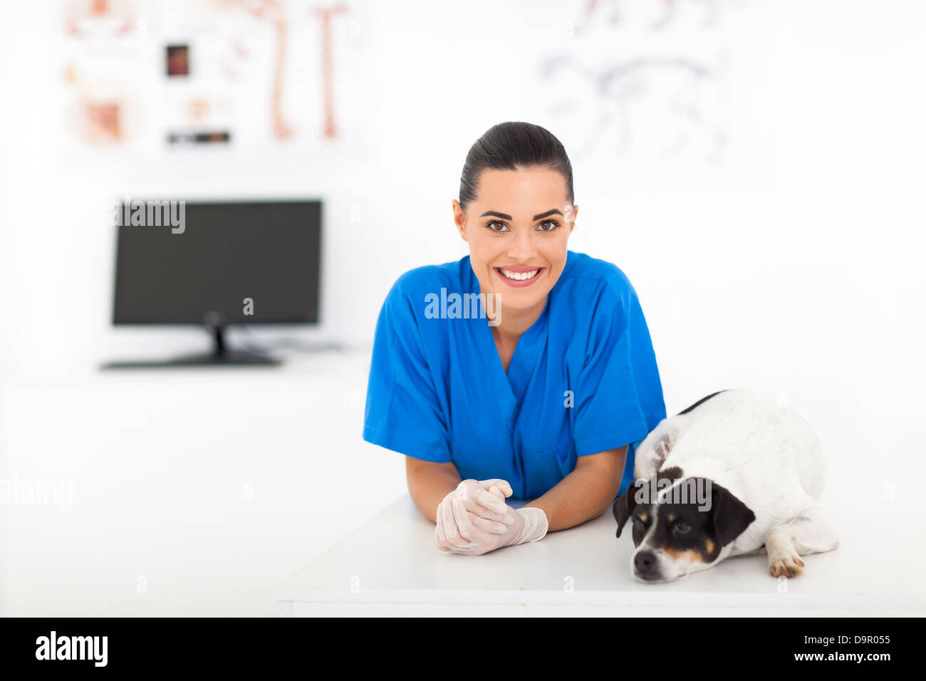 weibliche Tierarzt und Hund in der Tierklinik Stockfoto