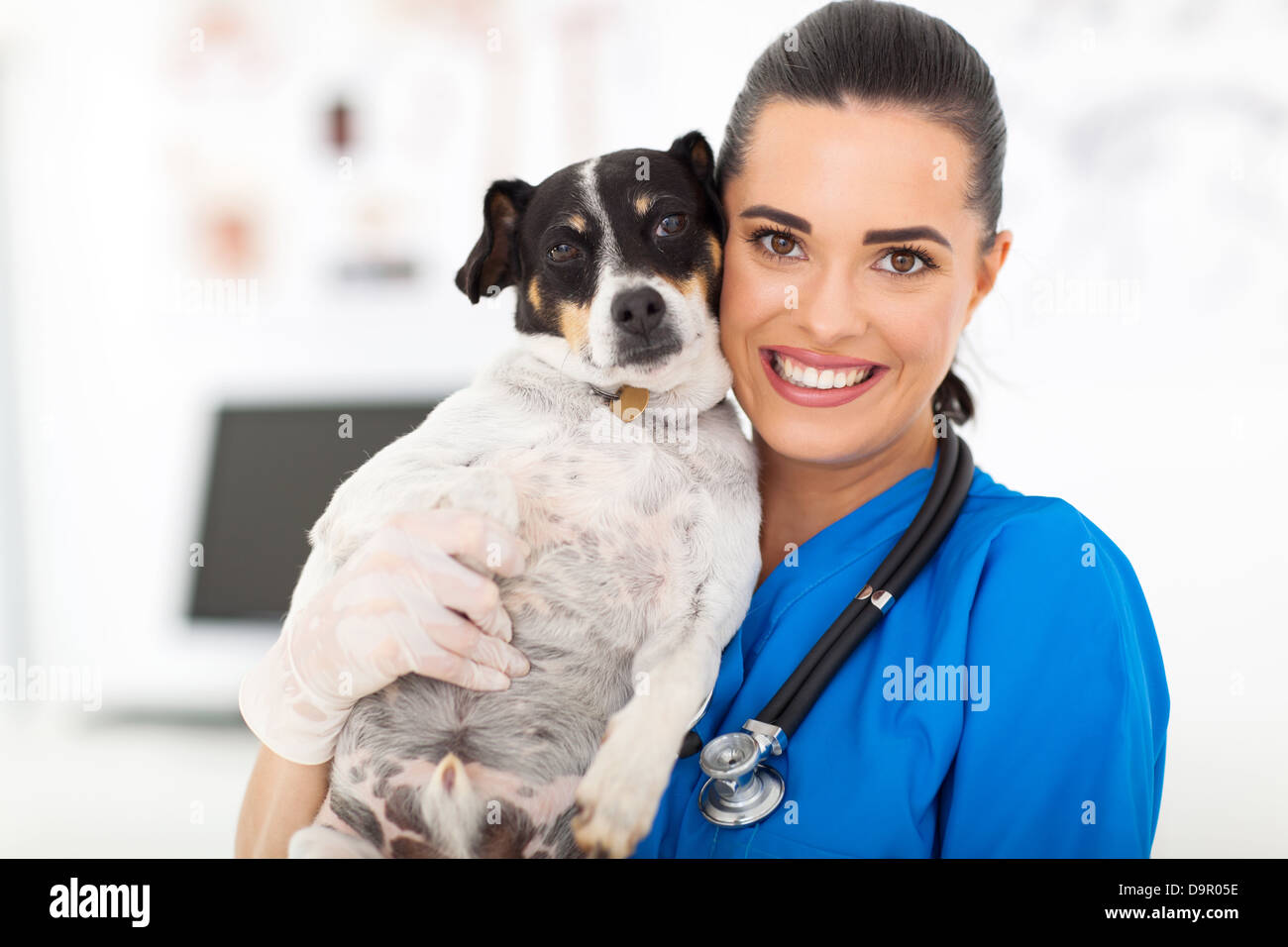 ziemlich Tierarzthelferin Holding Hund in Tierklinik Stockfoto